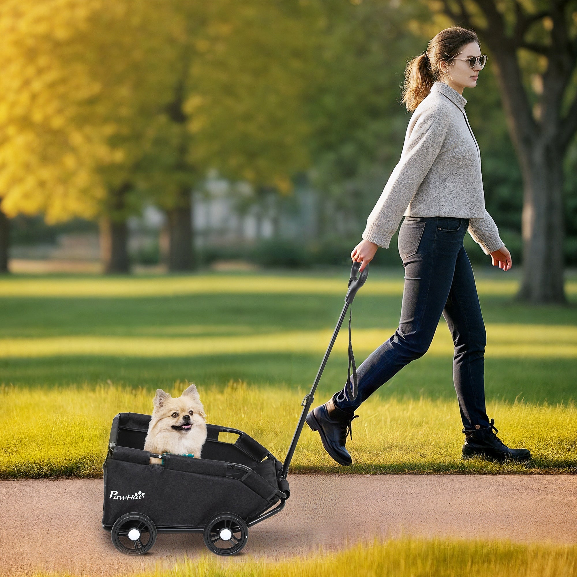 PawHut Dog Stroller, Folding, with Universal Handle, Washable Pillow Packaging status original