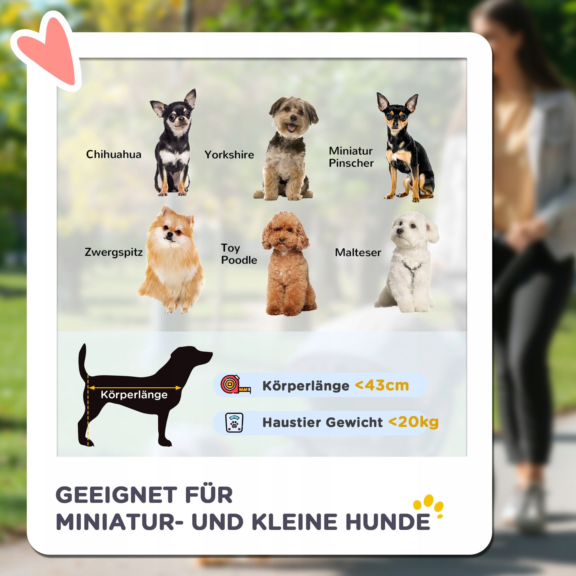 PawHut Stroller Jogger Folding Function for Small and Medium Dogs up to 20 kg Main material metal