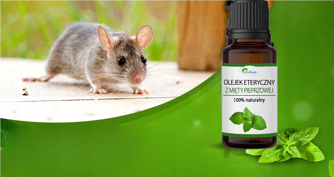 Peppermint oil for mice rodents NATURAL ethereal Brand no brand