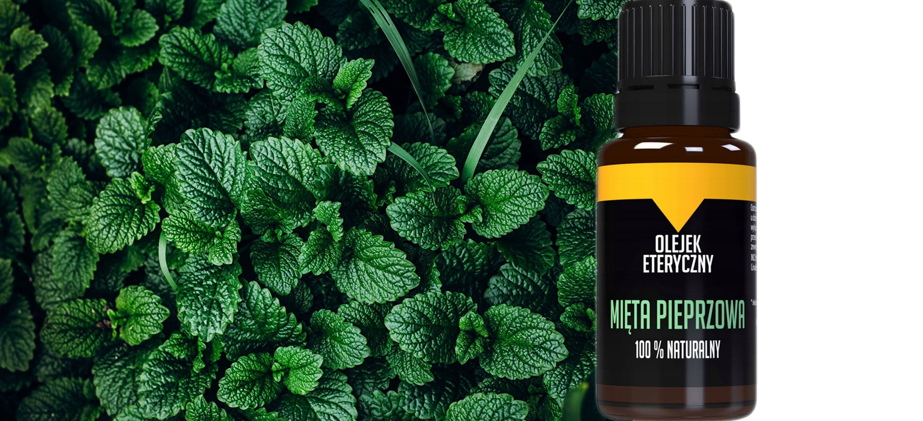 Peppermint oil for mice rodents NATURAL ethereal Product weight with unit packaging 0.039 kg