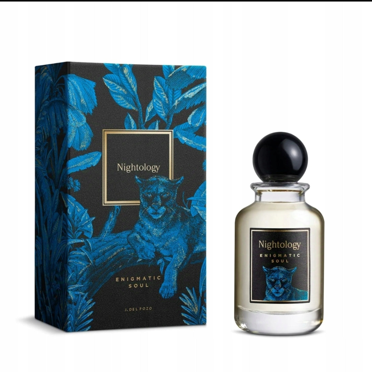 Perfumed Water J. Del Pozo Nightology Enigmatic Soul 100ml EDP