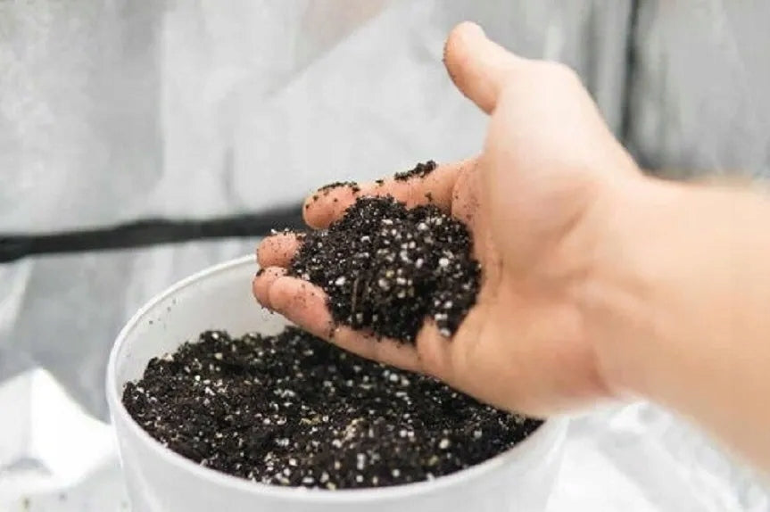 Perlite Gardening SPRAYER 20L For Sowing Plants Earth Substrate PREMIUM Form granules