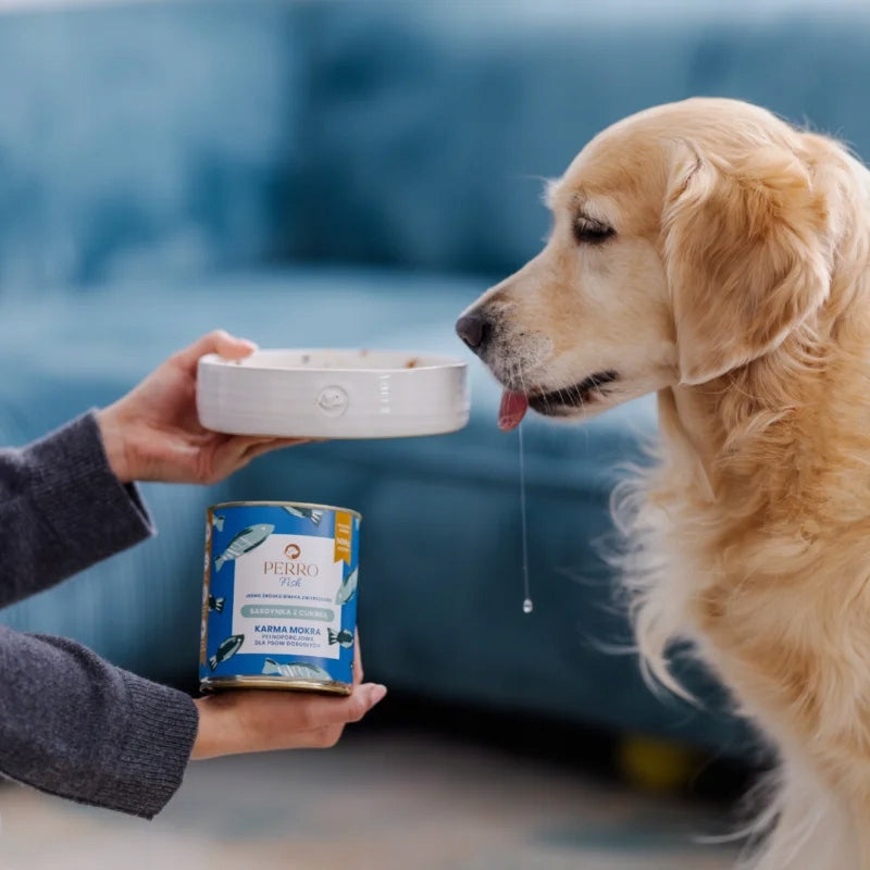 Perro Sardine with Zucchini 400 g monoprotein wet food for adult dogs Brand Perro