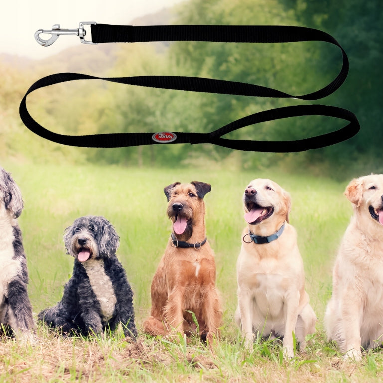 Pet Nova Dog Leash for Small and Large Dogs 4-20kg Black 120cmx2cm Maximum leash length 1.2 m