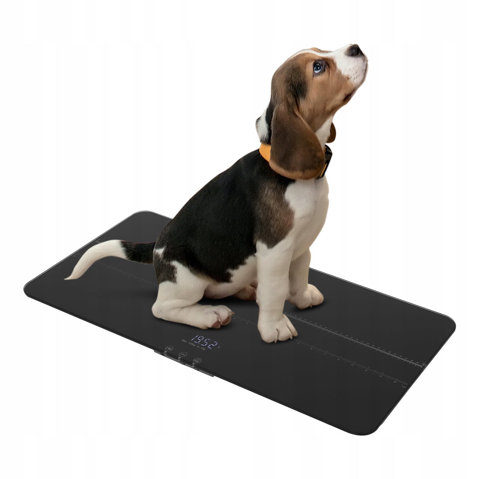Pet Scale LED Display Tempered Glass 10g Accuracy 50-100kg