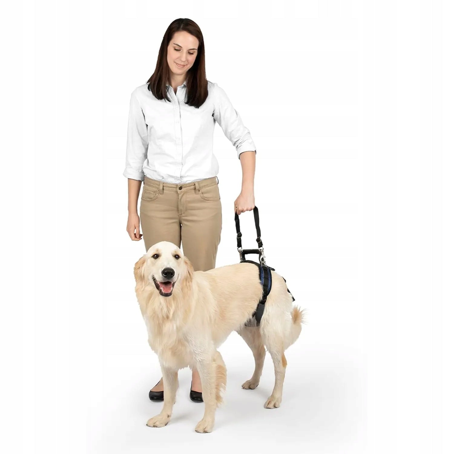 PetSafe CareLift Harness Dog Rehabilitation Harness, Hip Harness M Size M