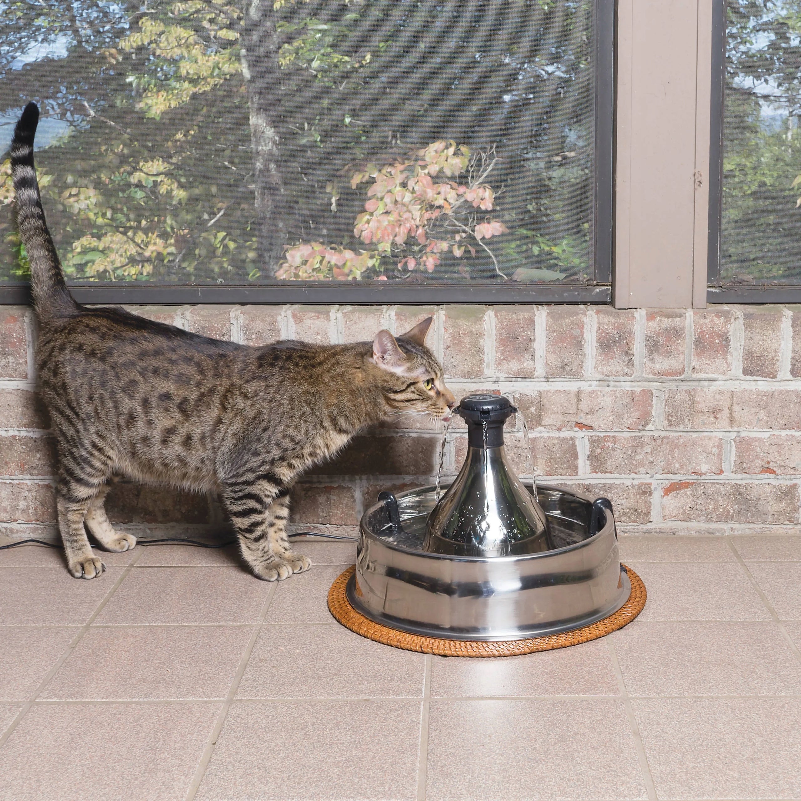 PetSafe Drinkwell 360 Pet Fountain 3,8L large fountain for cat and dog Brand PetSafe