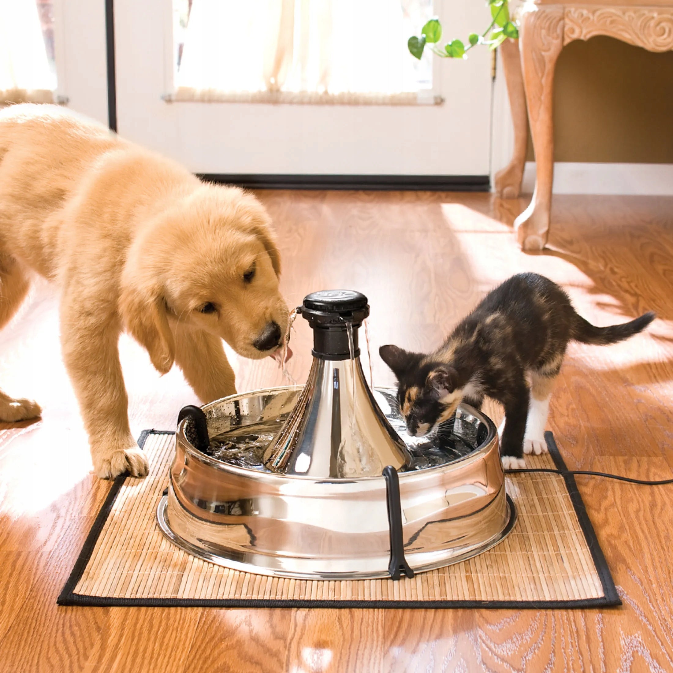 PetSafe Drinkwell 360 Pet Fountain 3,8L large fountain for cat and dog Packaging status original