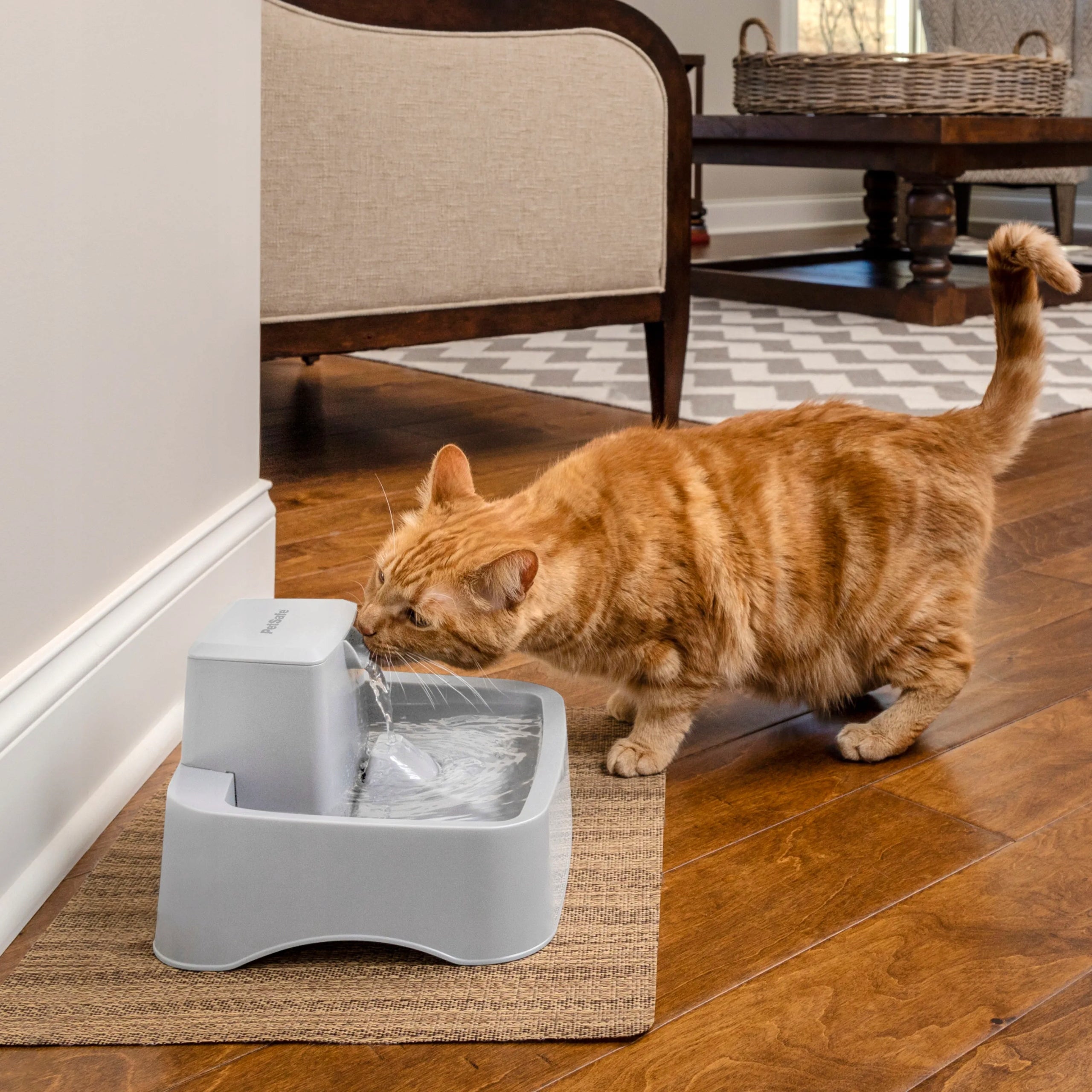 PetSafe Drinkwell Pet Fountain - Small 1.8L Water Fountain for Cats and Dogs Material made from a synthetic material