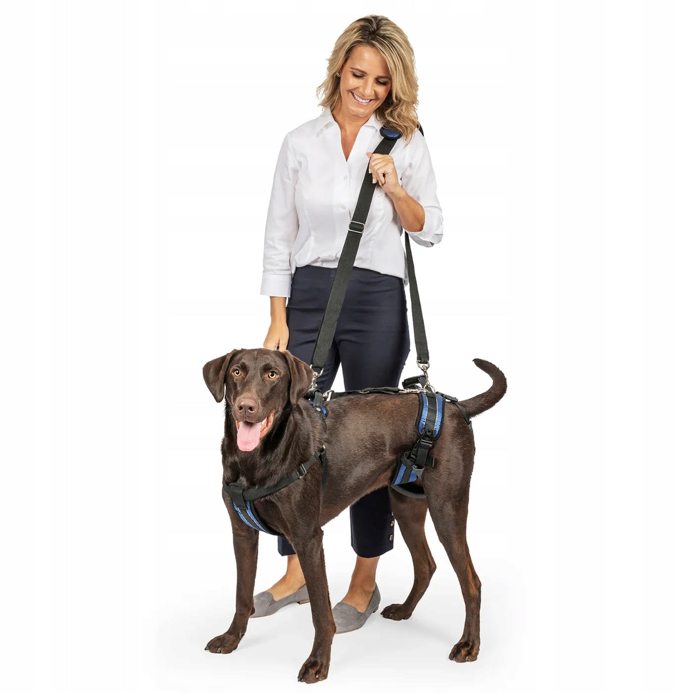 PetSafe Harness Dog Rehabilitation Harness, Large Dog Carrier L Color black