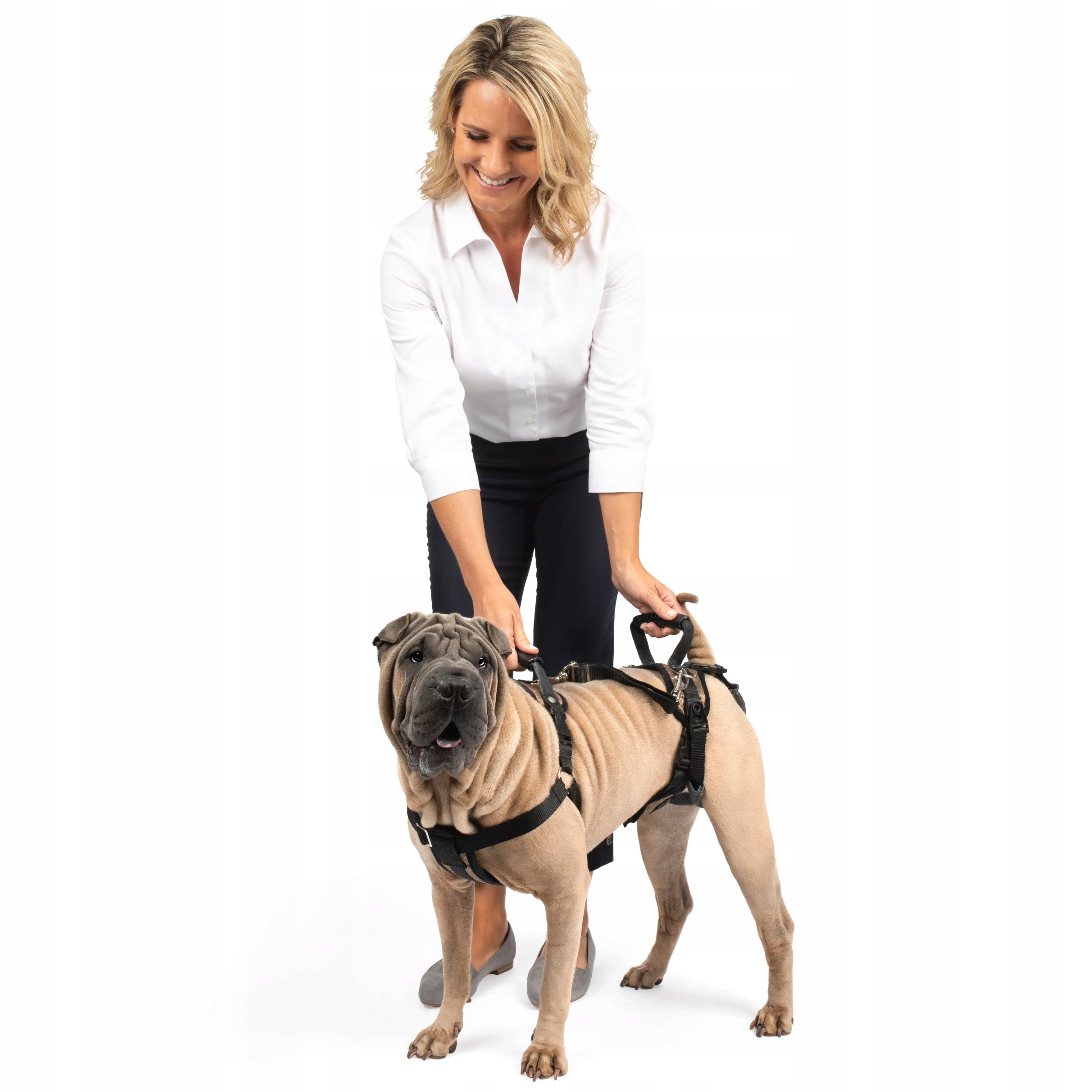 PetSafe Harness Dog Rehabilitation Harness, Large Dog Carrier L Size L