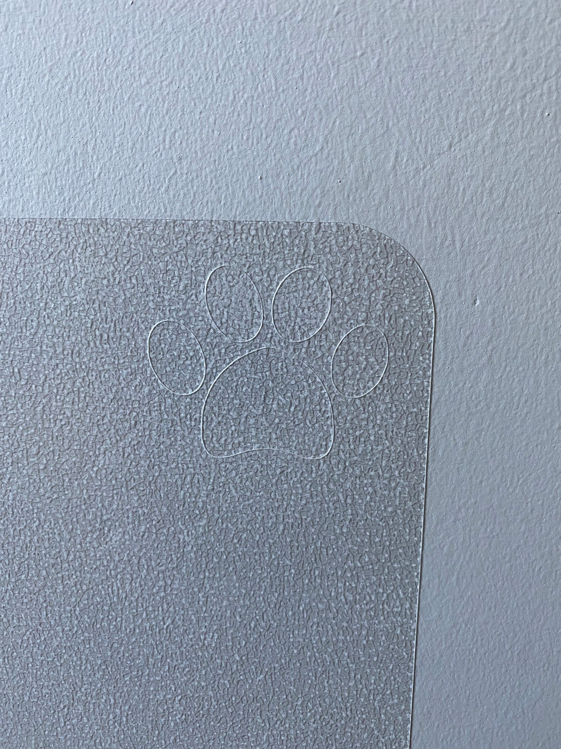 PetWALL transparent wall protection mat Brand Mathey System