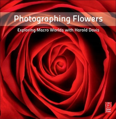 Blumen fotografieren: Makrowelten erkunden mit Harold Davis