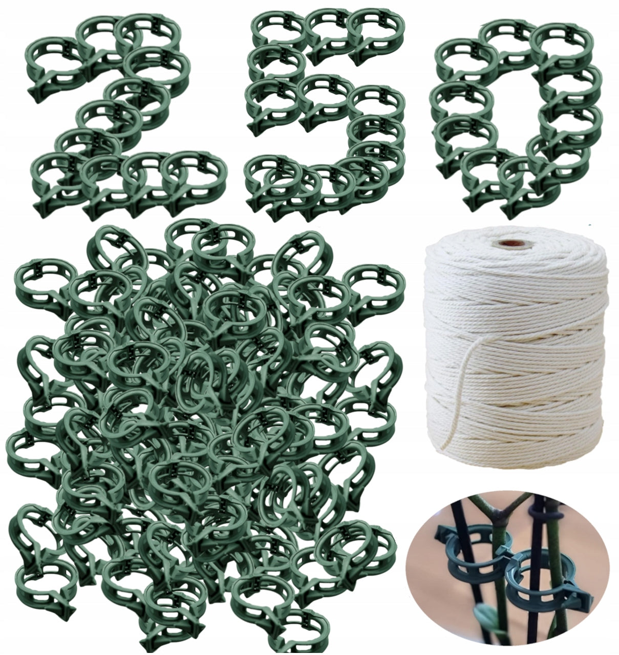 Pins, clips, string for tomato stems, 250 pcs