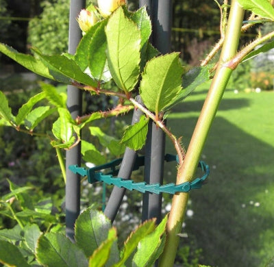 Plant Clamp Bands Reusable Garden Triticles Clips 100pcs Brand no brand