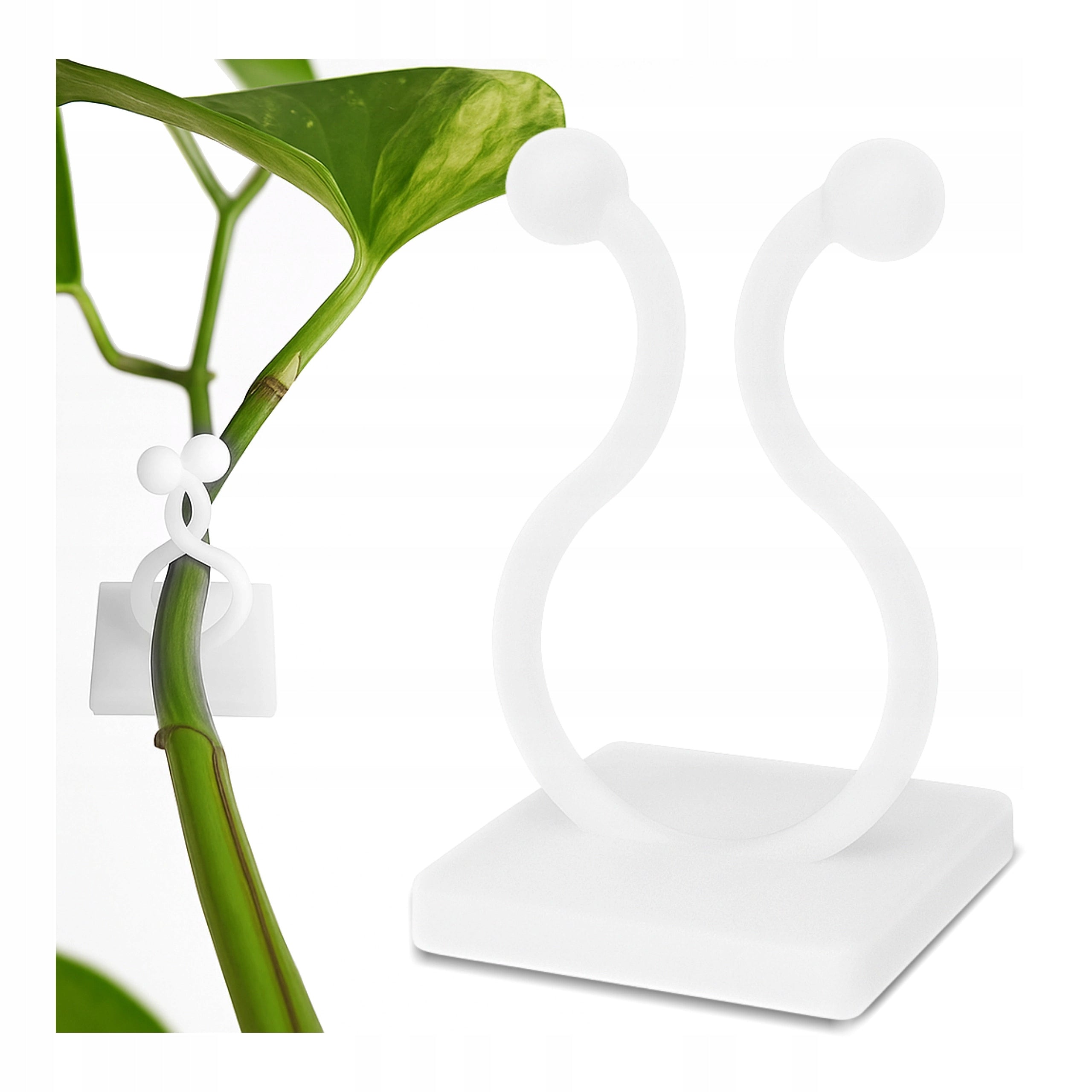 Plant Creepers Attachment Clip 20 mm Self-Adhesive Holder - 5 x 10 Pieces Manufacturer code #16263