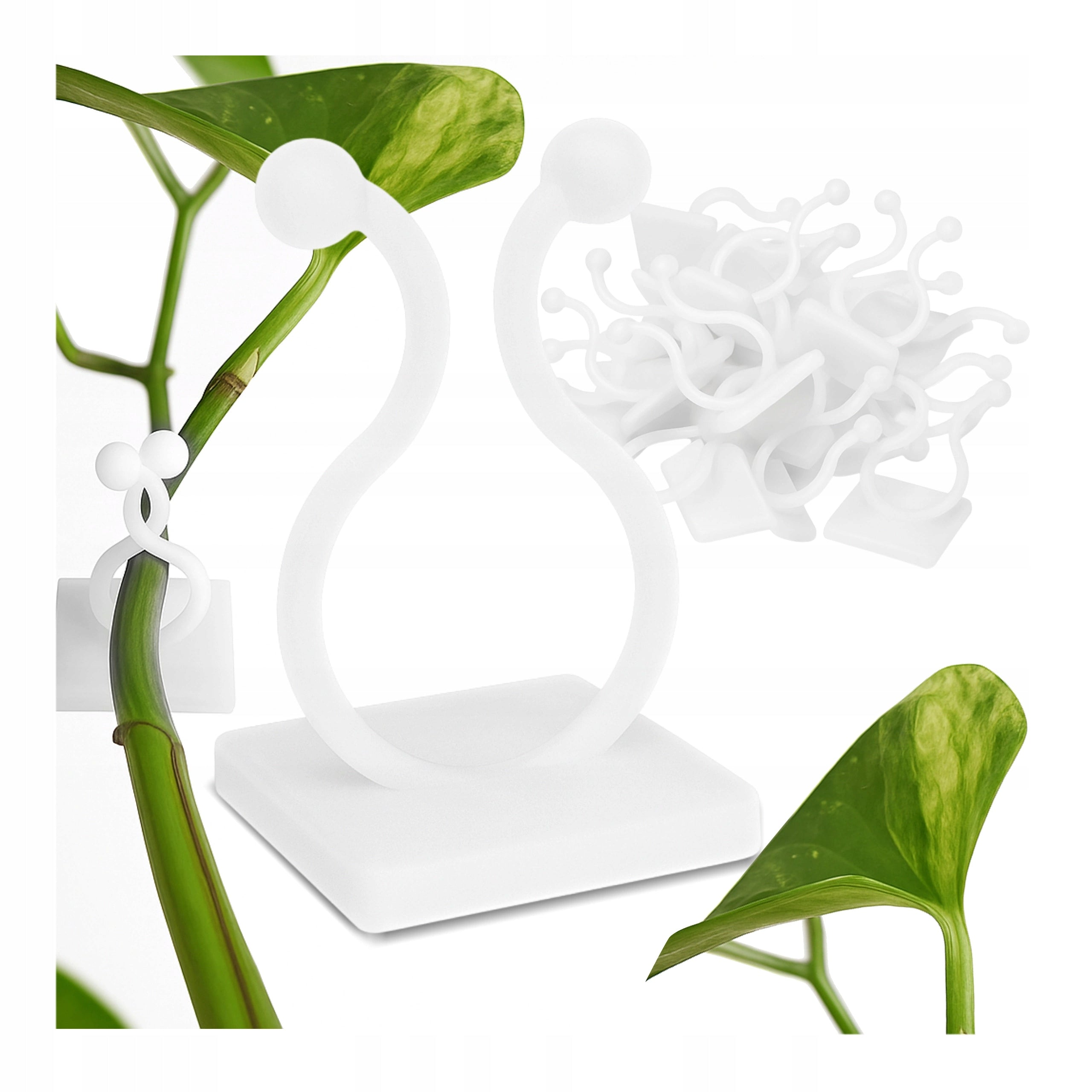 Plant Creepers Attachment Clip 20 mm Self-Adhesive Holder - 5 x 10 Pieces