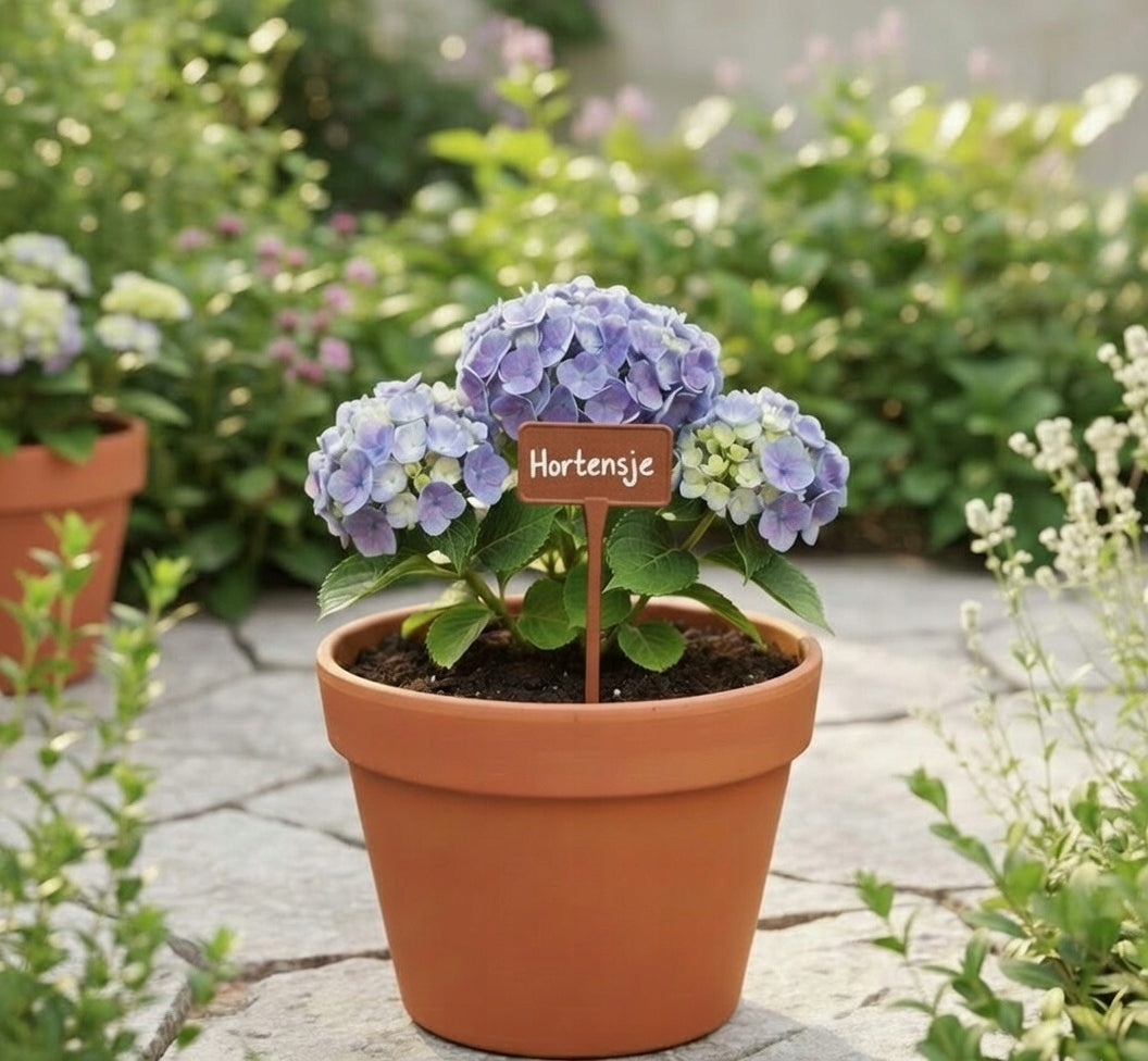 Plant Description Labels Small 10,5x7cm Interchangeable Brown Field Packaging status original
