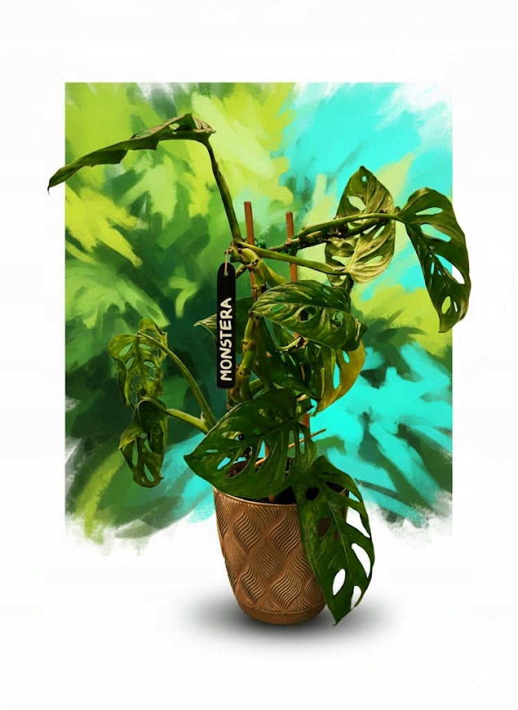 Plant Labels 12cm Seedling Plates Vegetable Description Black Packaging status original