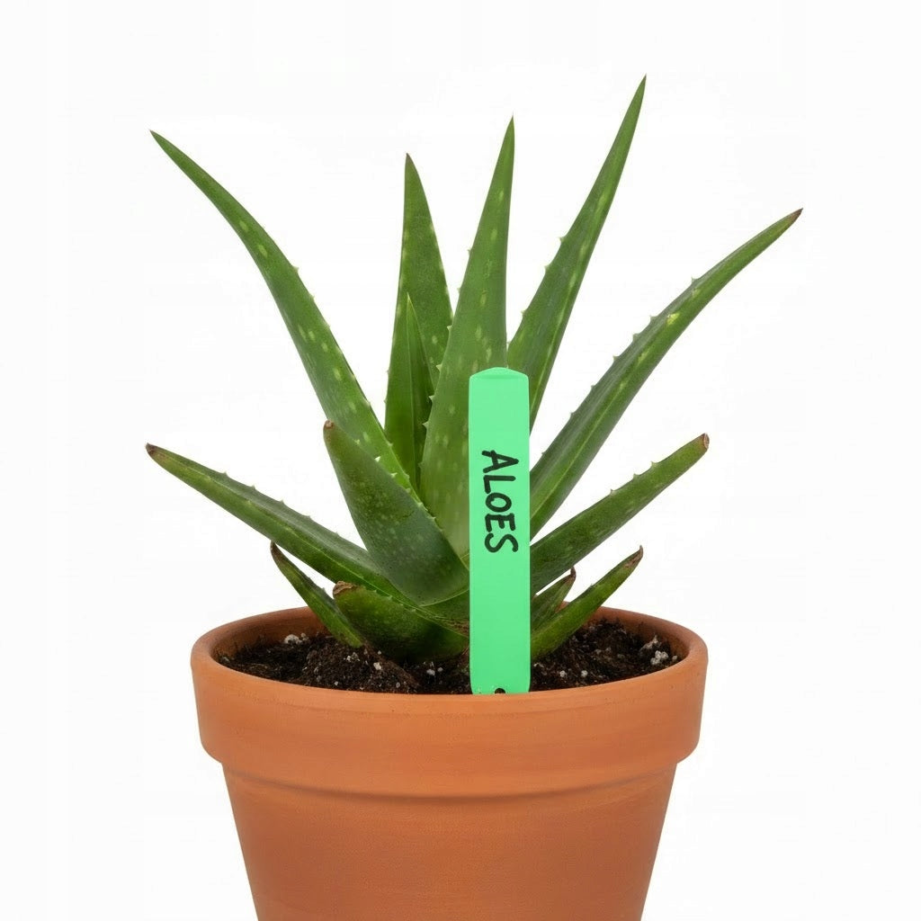 Plant Labels 12cm Seedling Plates Vegetable Description Green Manufacturer code Ety_ziel