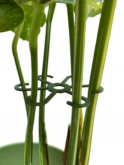 Plant Support Flowers Support STRONG Gripper S 10cm x3 Product height 10 cm