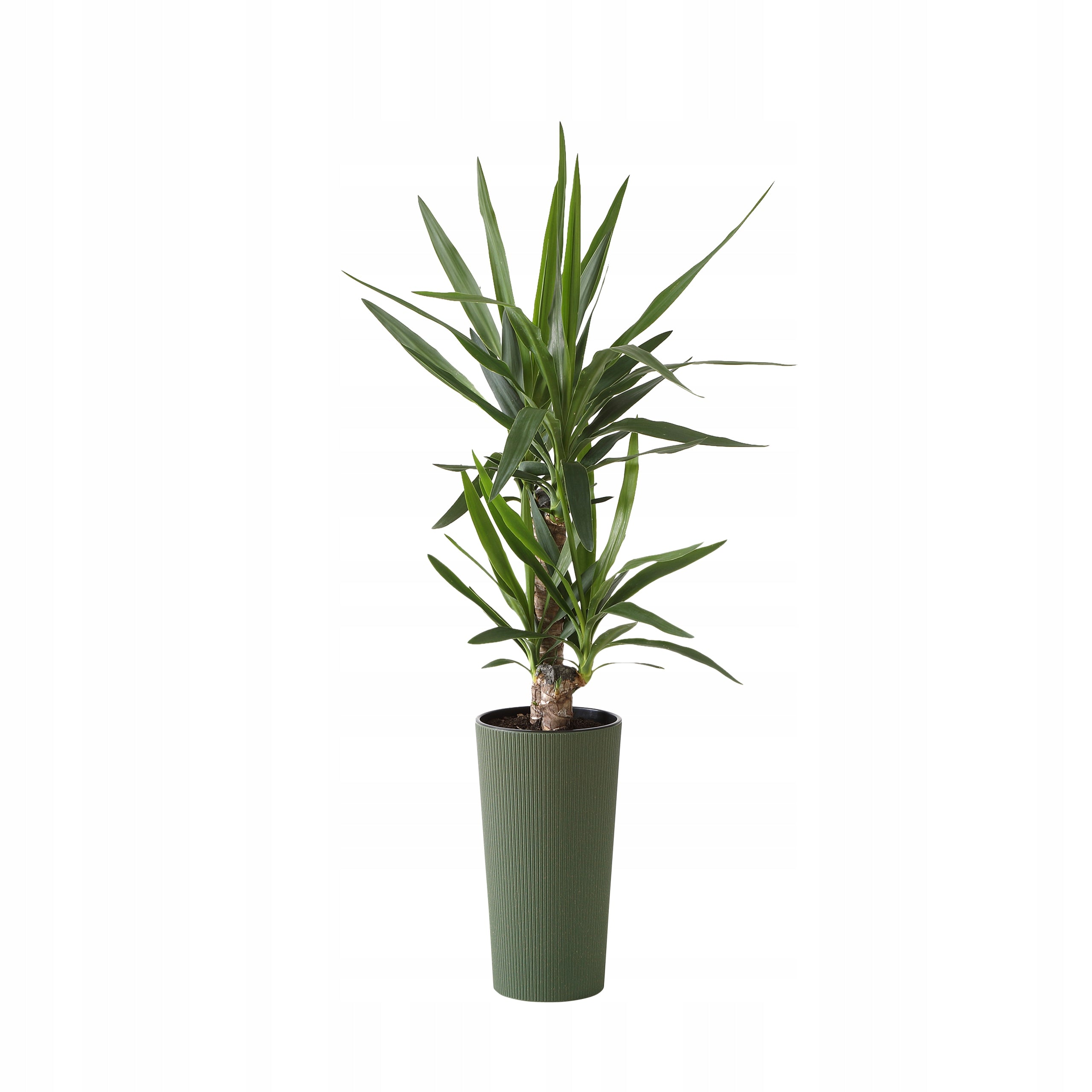 Planter LILIA JUMPER diameter 25cm col. WHITE eco wood (BEIGE) + cartridge Length 25.5 cm