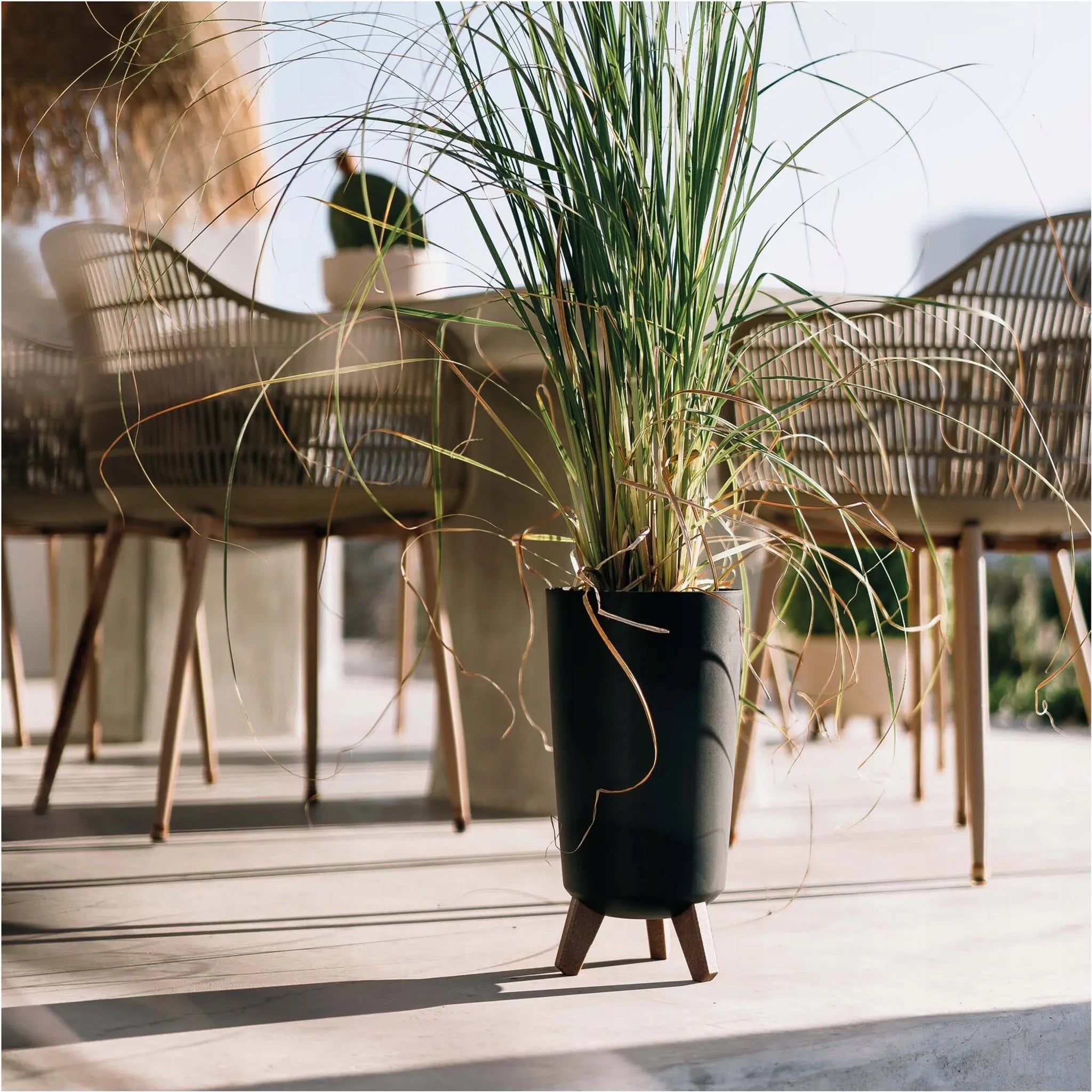 Planter, pot SLIM high ANTHRACITE cover on palm tree legs Material synthetic material