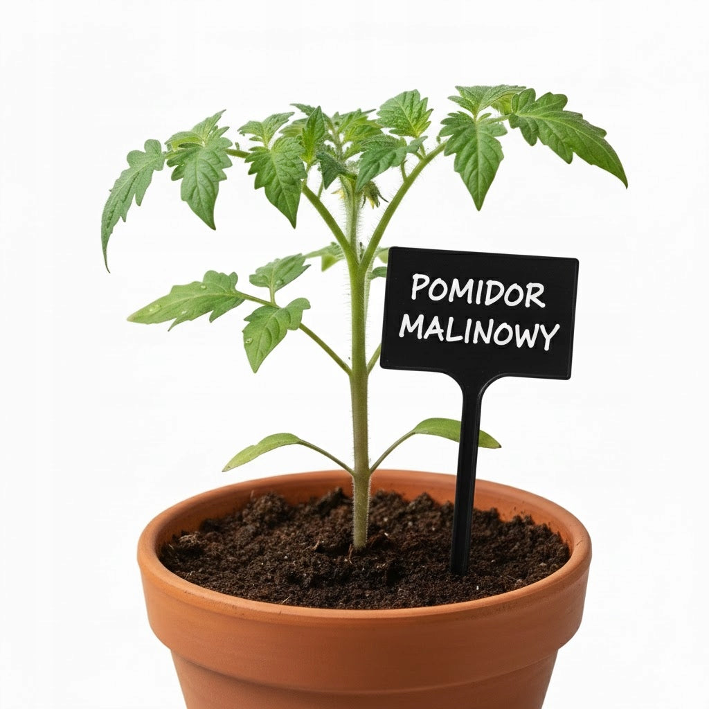 Plates Plant labels 7x10,5cm VEGETABLE FLOWERS for DESCRIPTION BLACK +marker Brand PSGR