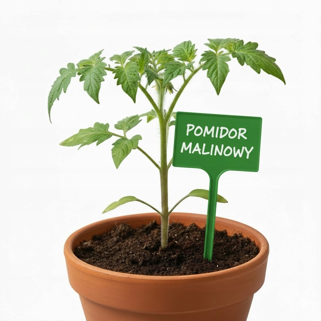 Plates Plant labels 7x10,5cm VEGETABLE FLOWERS for DESCRIPTION Green Packaging status original
