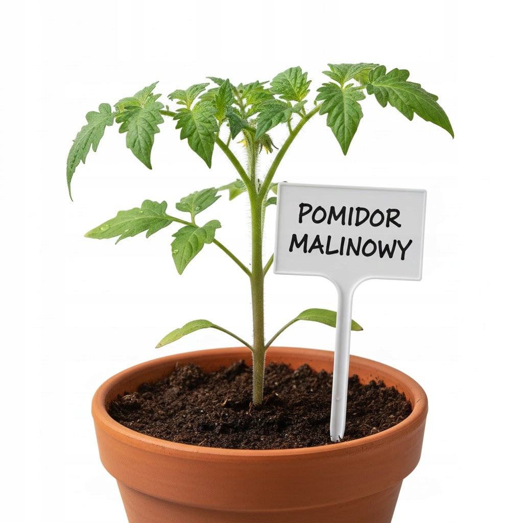 Plates Plant labels 7x10,5cm VEGETABLE FLOWERS for DESCRIPTION WHITE +marker Number of pieces 50 pcs