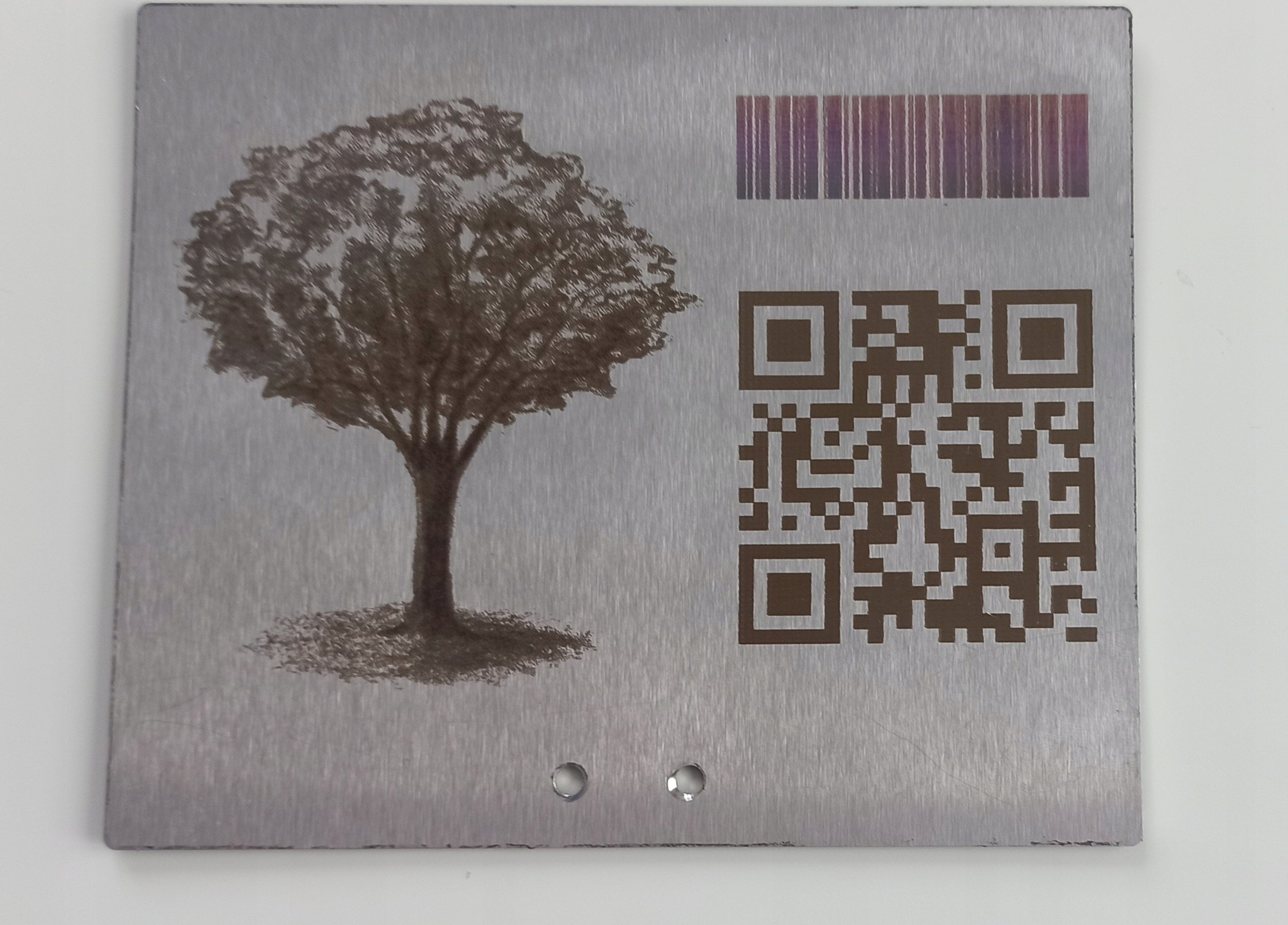 Pluggable garden plaque, stainless steel, ENGRAVING, 155x105x450, MANUFACTURER Manufacturer code 5906477685298