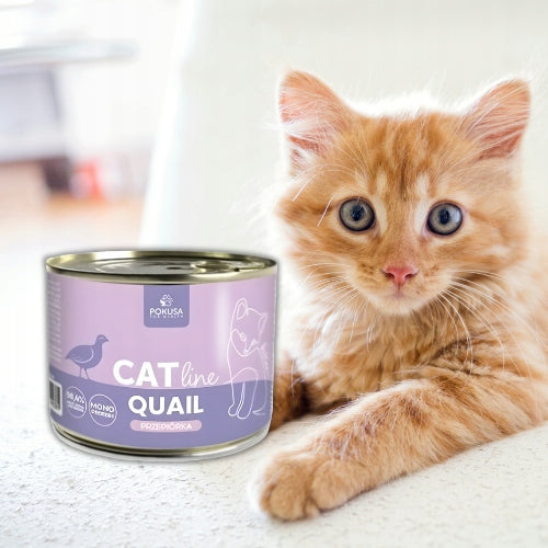 Pokusa CatLine Quail 200g Wet cat food for kittens with quail Brand Pokusa