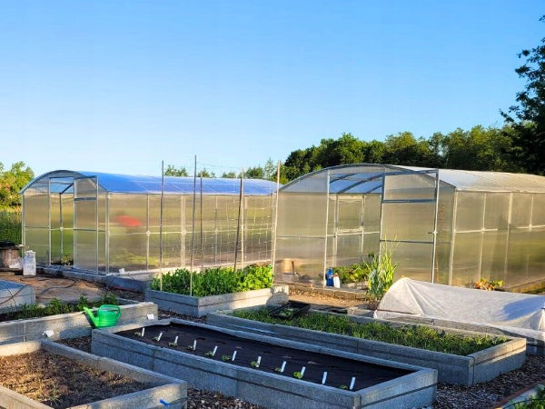 Polycarbonate greenhouse straight walls 3x4 m 6 mm profile 40x20mm ETL Gera-3 Length 4 m