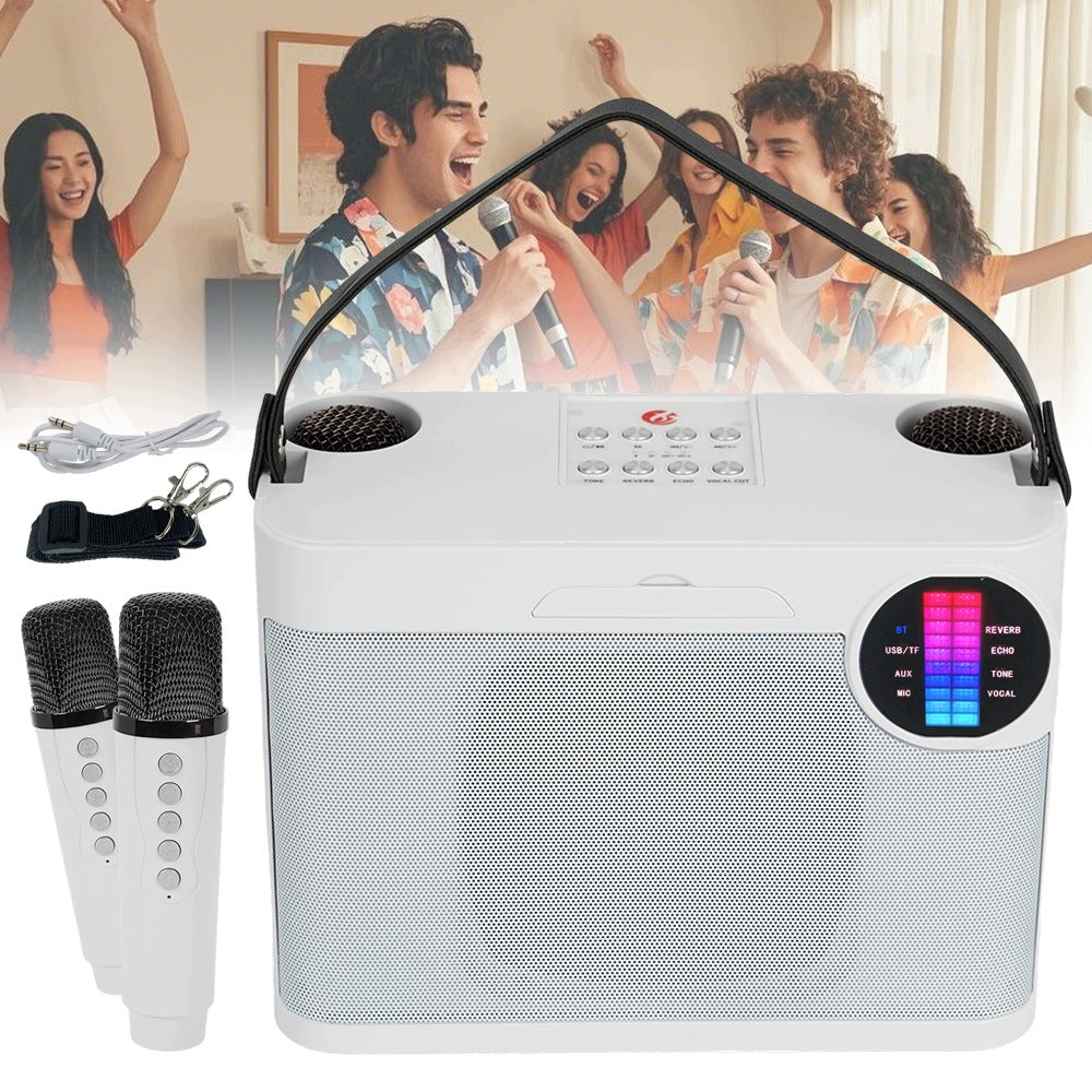 Portable Karaoke Speaker 2 Microphones LED 10W With Handle And Shoulder Strap Packaging status original
