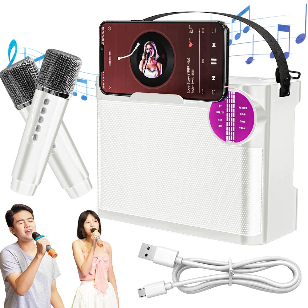 Portable Karaoke Speaker 2 Microphones LED 10W With Handle And Shoulder Strap