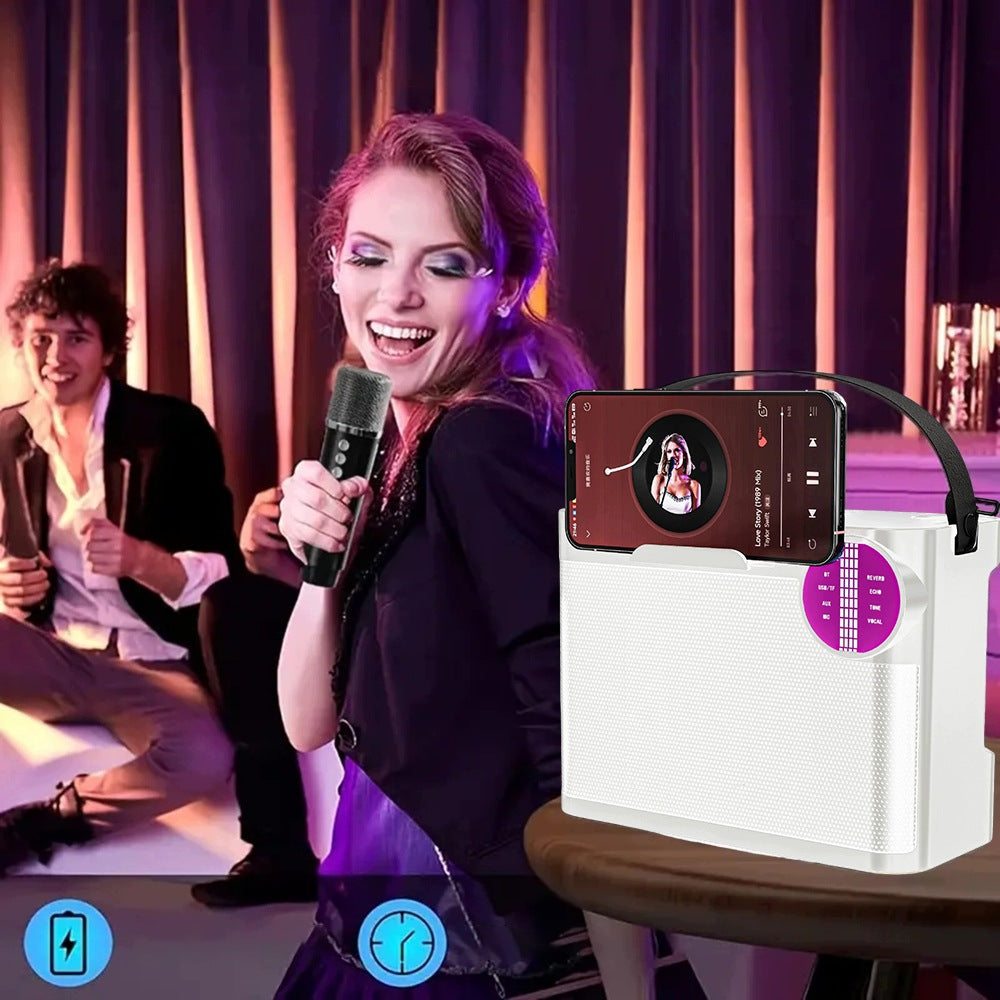 Portable Karaoke Speaker BEDEE 10W 2 Microphones With Handle And LED 2000mAh Model other