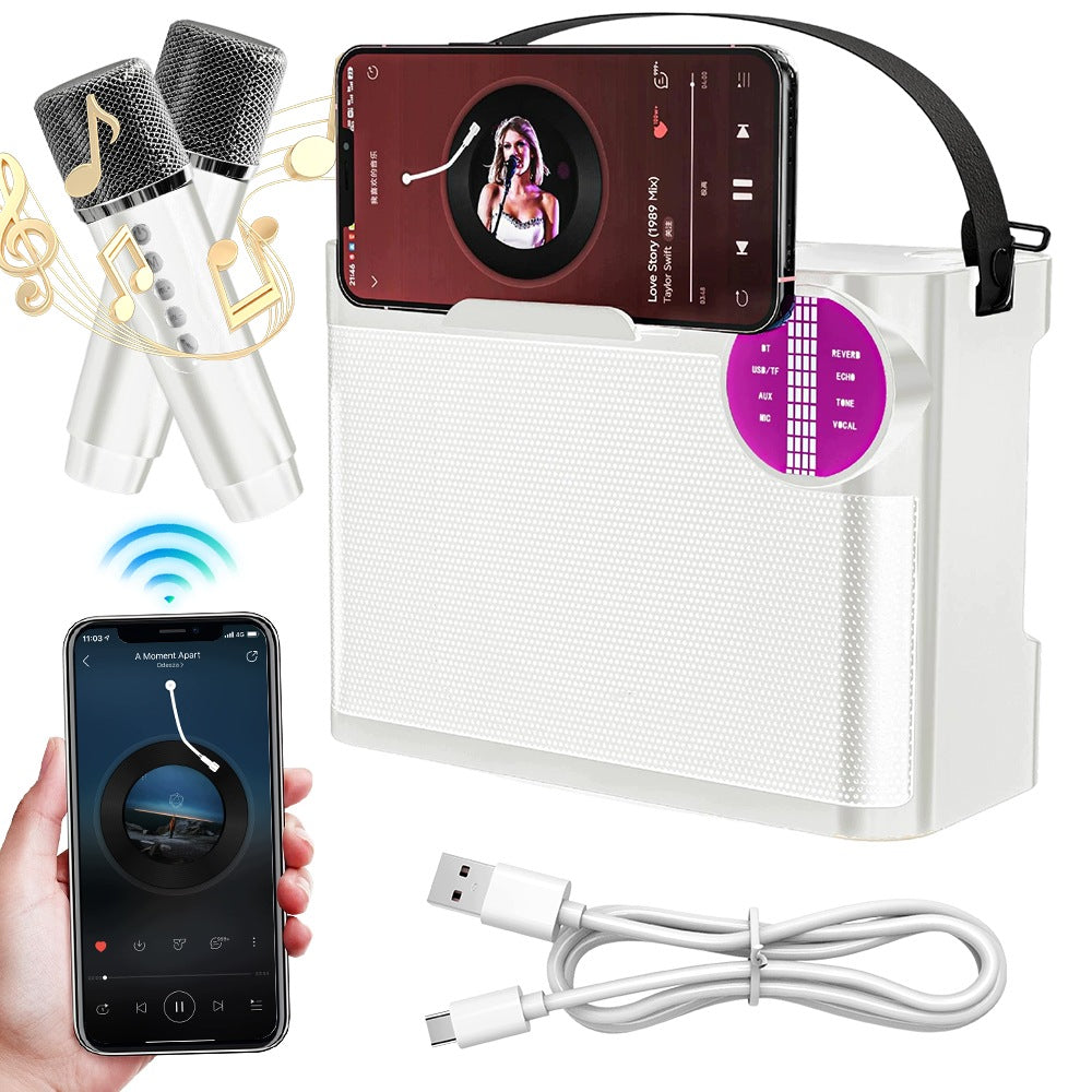Portable Karaoke Speaker BEDEE 10W 2 Microphones With Handle And LED 2000mAh