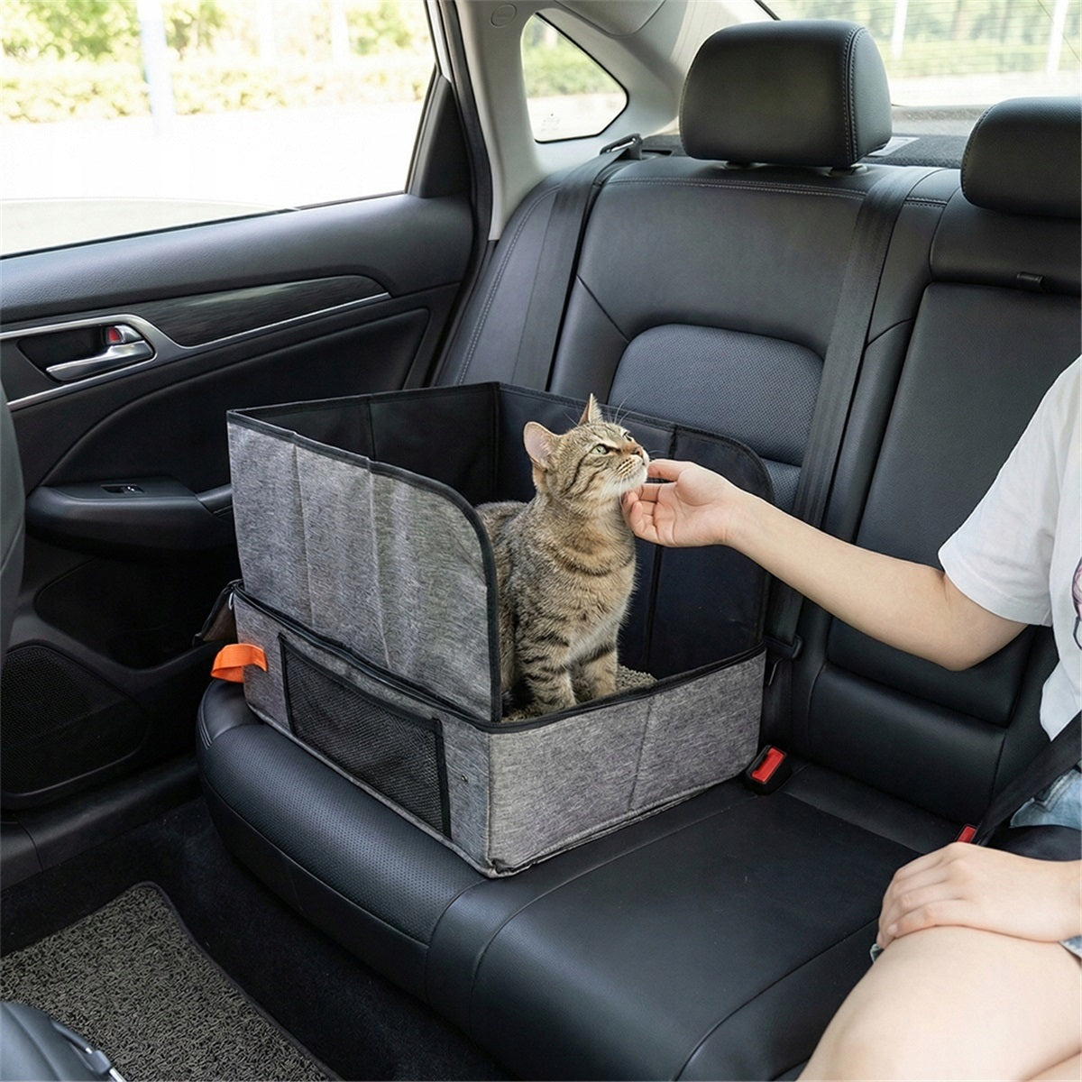 Portable cat litter box with anti-splash partition Brand Bedee