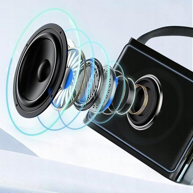 Portable speaker Hifi BLUETOOTH karaoke 2 microphones black 10 W Manufacturer code 5908124300493