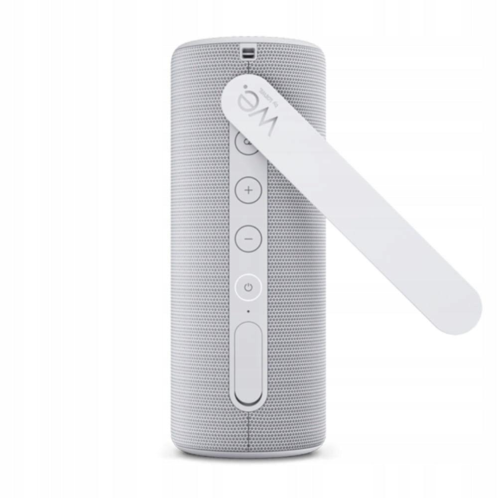 Portable speaker Loewe We. HEAR 1 cool grey Model other