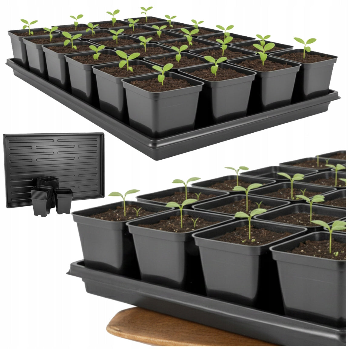 Pots with stand For sowing and seedlings Miniglass 24 pcs. 0,5l