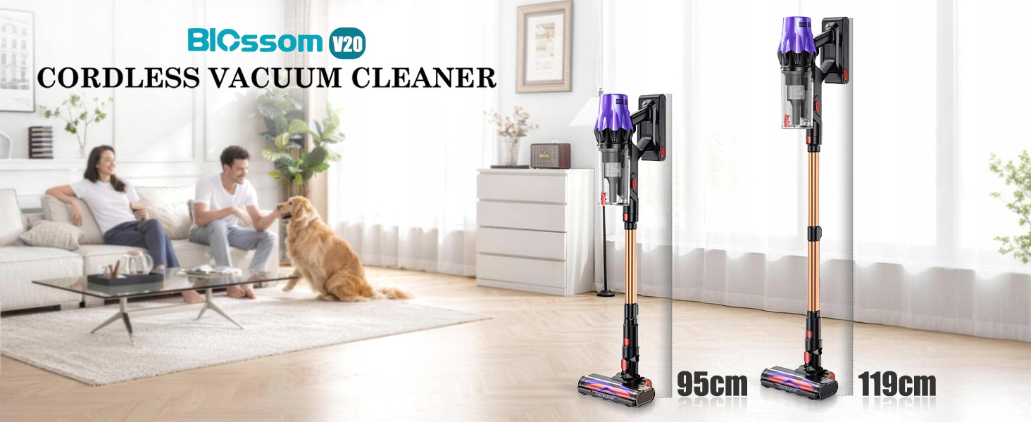 Powerful Cordless Vertical Vacuum Cleaners Blossom V20 650W 55000PA Wet mode yes