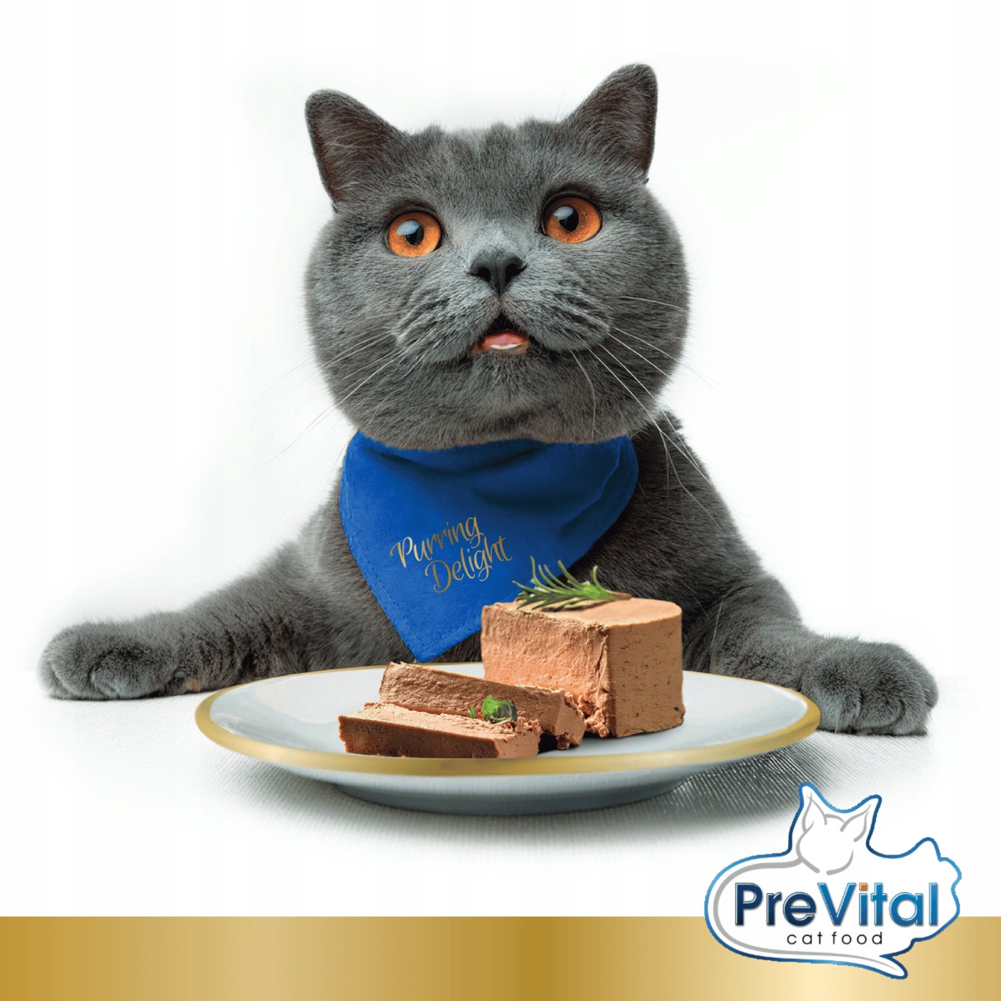 PreVital mini can - Mousse for adult cats with chicken 85g Manufacturer code 1048