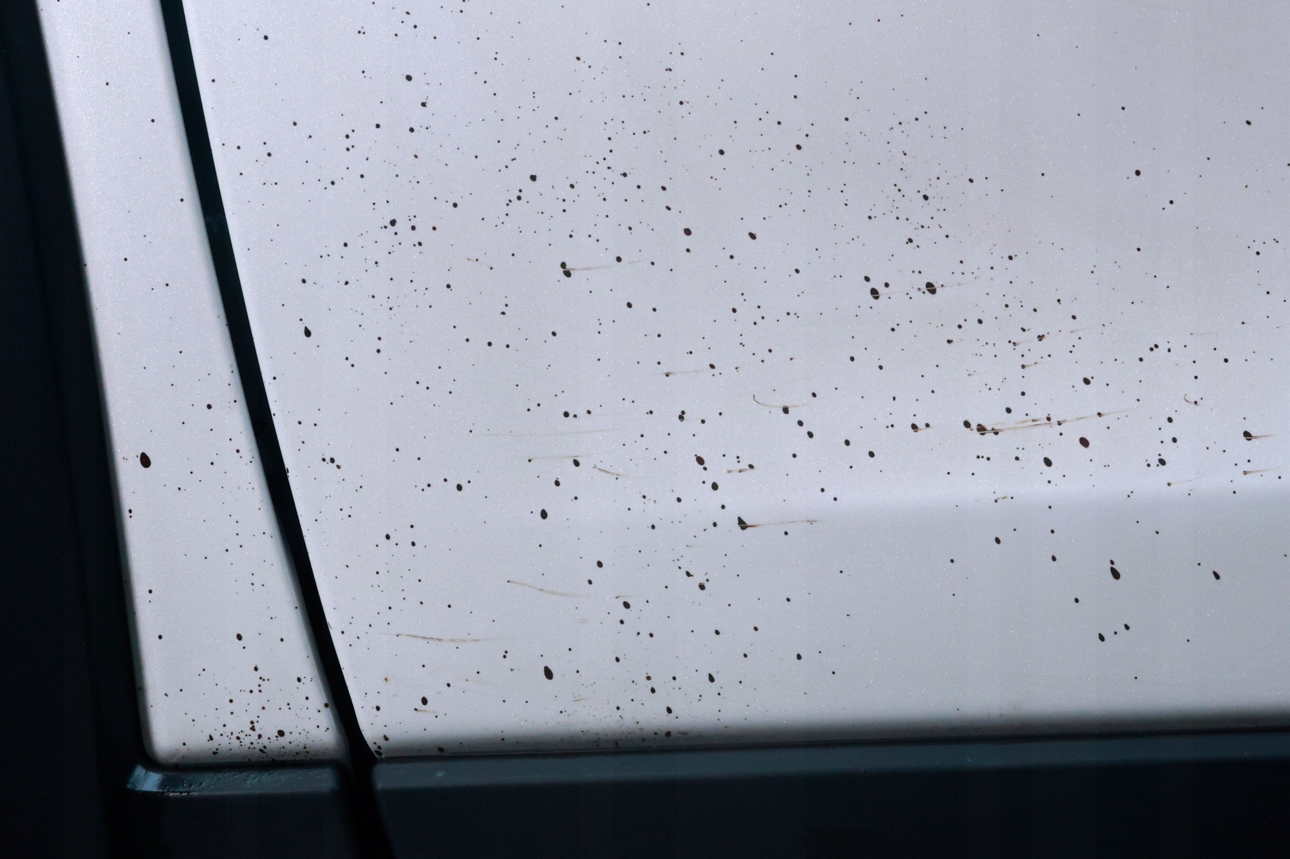 Preparation for removing resin, tar and asphalt from the body Elite Detailer Packaging status original