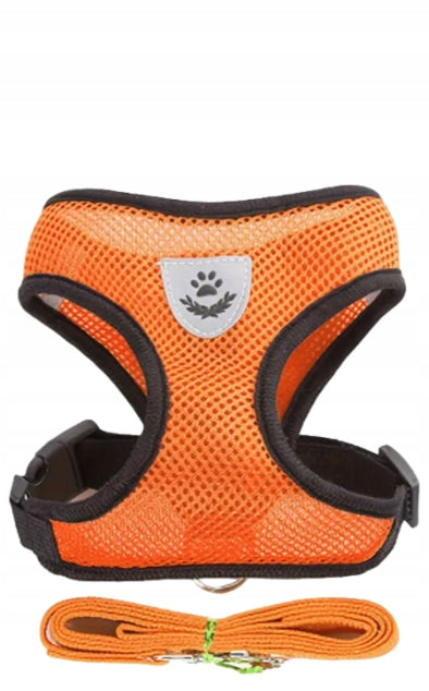 Pressure-Free Cat Dog Walking Harness with Lanyard S BREATHABLE Color multicolor
