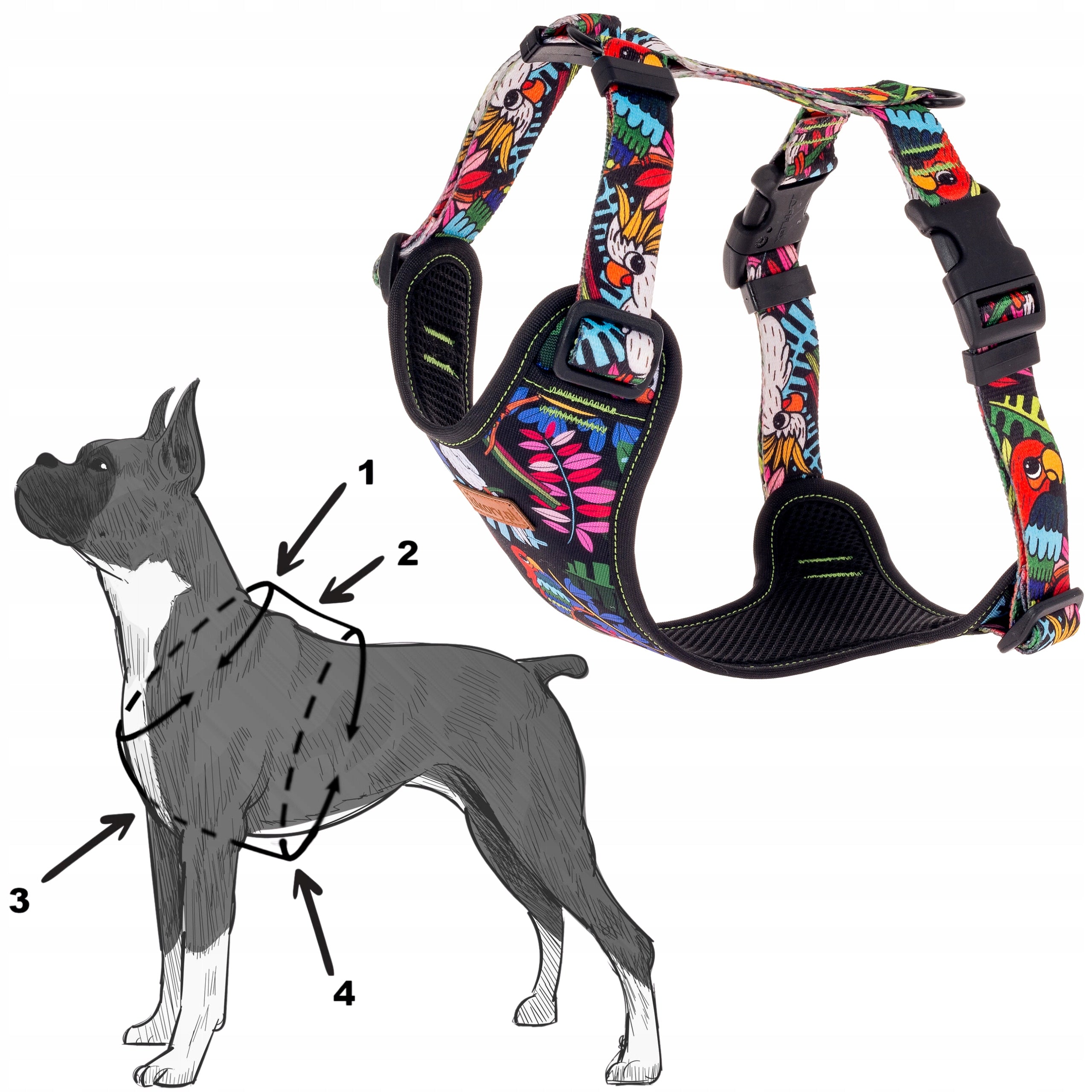 Pressure-free HARNESS for small dog York puppy XXS 15 mm Ukory Kind walking harness