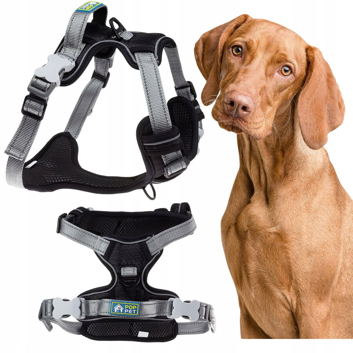 Pressure-free dog harness with handle type GUARD L BLACK