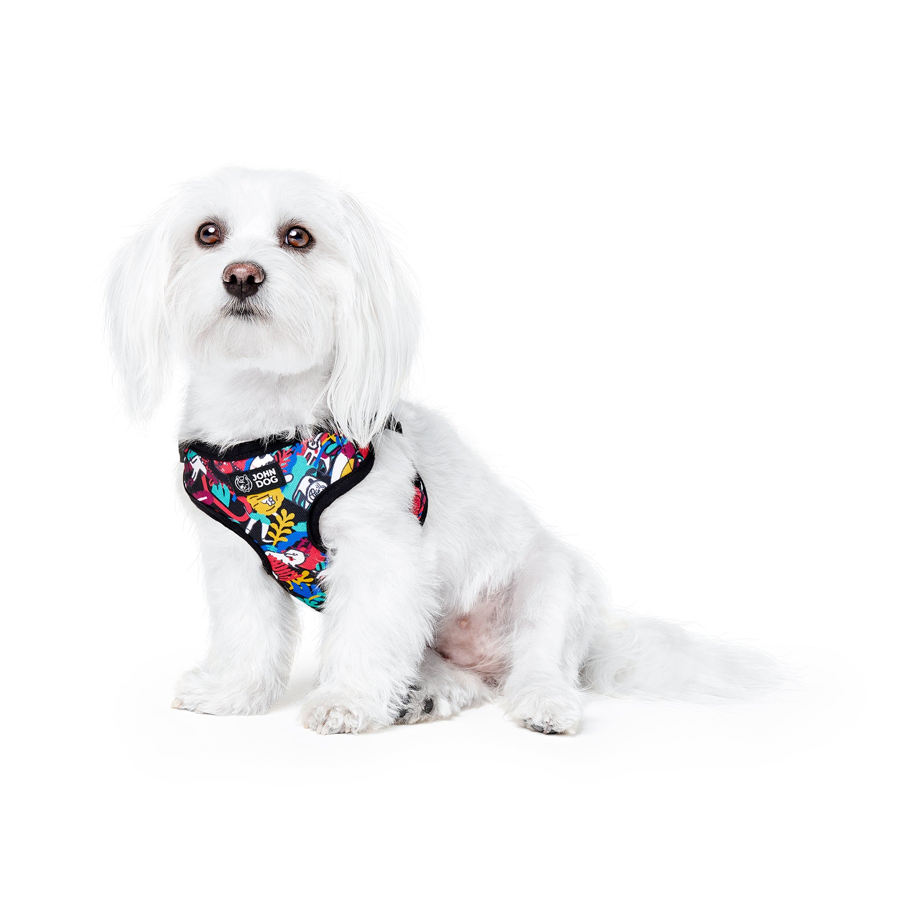 Pressure-free harness for small dog XS John Dog Barcelona