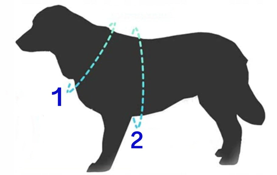 Pressure-free large dog harness with GUARD XL handle with reflectors Kind walking harness