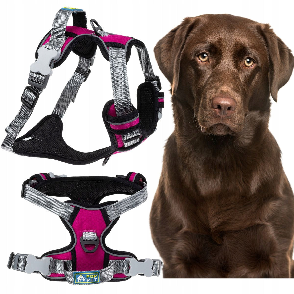 Pressure-free large dog harness with GUARD XL handle with reflectors